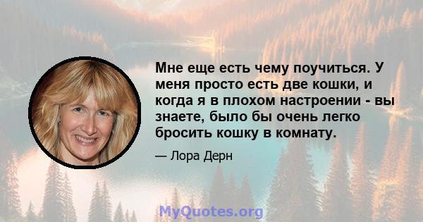 Мне еще есть чему поучиться. У меня просто есть две кошки, и когда я в плохом настроении - вы знаете, было бы очень легко бросить кошку в комнату.