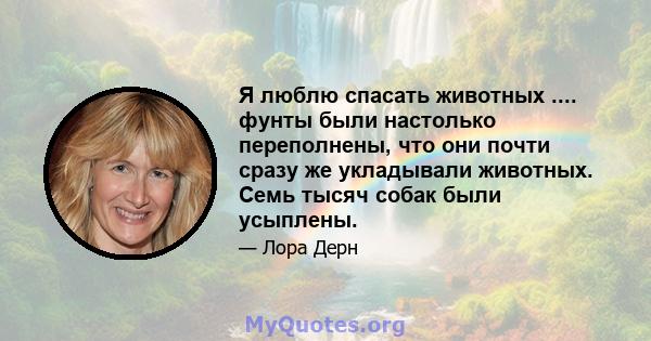 Я люблю спасать животных .... фунты были настолько переполнены, что они почти сразу же укладывали животных. Семь тысяч собак были усыплены.