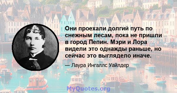 Они проехали долгий путь по снежным лесам, пока не пришли в город Пепин. Мэри и Лора видели это однажды раньше, но сейчас это выглядело иначе.