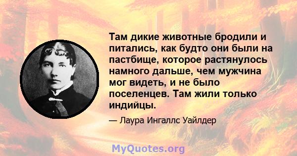 Там дикие животные бродили и питались, как будто они были на пастбище, которое растянулось намного дальше, чем мужчина мог видеть, и не было поселенцев. Там жили только индийцы.