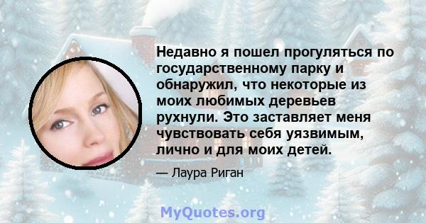 Недавно я пошел прогуляться по государственному парку и обнаружил, что некоторые из моих любимых деревьев рухнули. Это заставляет меня чувствовать себя уязвимым, лично и для моих детей.