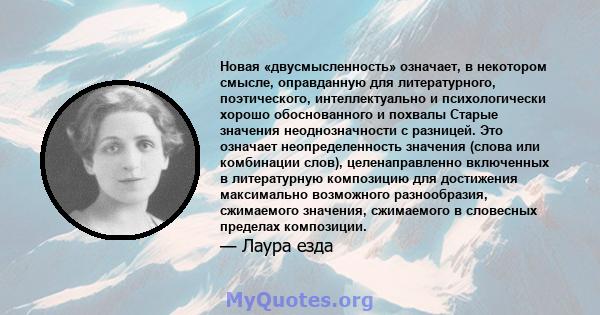 Новая «двусмысленность» означает, в некотором смысле, оправданную для литературного, поэтического, интеллектуально и психологически хорошо обоснованного и похвалы Старые значения неоднозначности с разницей. Это означает 