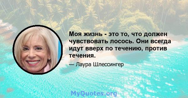 Моя жизнь - это то, что должен чувствовать лосось. Они всегда идут вверх по течению, против течения.