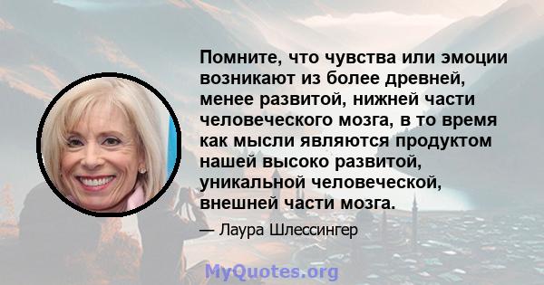 Помните, что чувства или эмоции возникают из более древней, менее развитой, нижней части человеческого мозга, в то время как мысли являются продуктом нашей высоко развитой, уникальной человеческой, внешней части мозга.