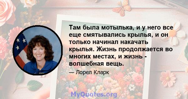 Там была мотылька, и у него все еще смятывались крылья, и он только начинал накачать крылья. Жизнь продолжается во многих местах, и жизнь - волшебная вещь.