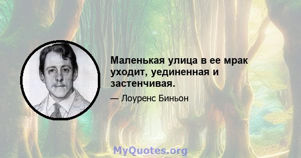 Маленькая улица в ее мрак уходит, уединенная и застенчивая.