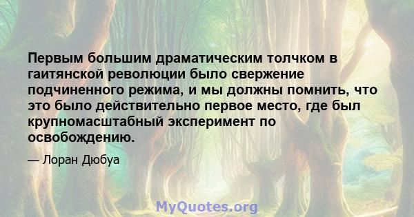 Первым большим драматическим толчком в гаитянской революции было свержение подчиненного режима, и мы должны помнить, что это было действительно первое место, где был крупномасштабный эксперимент по освобождению.