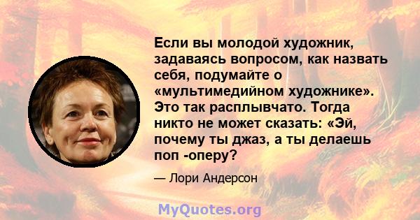 Если вы молодой художник, задаваясь вопросом, как назвать себя, подумайте о «мультимедийном художнике». Это так расплывчато. Тогда никто не может сказать: «Эй, почему ты джаз, а ты делаешь поп -оперу?