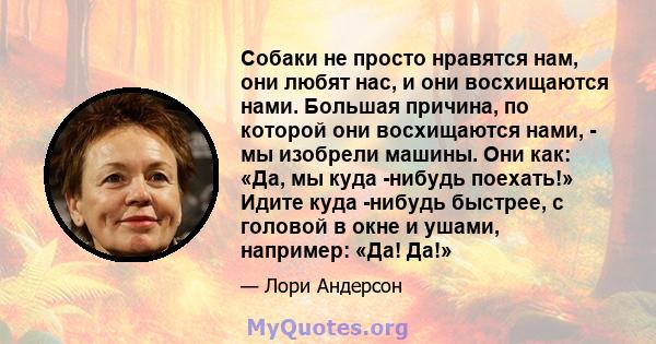 Собаки не просто нравятся нам, они любят нас, и они восхищаются нами. Большая причина, по которой они восхищаются нами, - мы изобрели машины. Они как: «Да, мы куда -нибудь поехать!» Идите куда -нибудь быстрее, с головой 