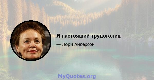 Я настоящий трудоголик.