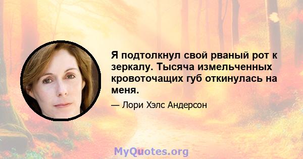 Я подтолкнул свой рваный рот к зеркалу. Тысяча измельченных кровоточащих губ откинулась на меня.