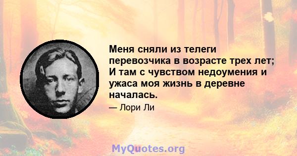 Меня сняли из телеги перевозчика в возрасте трех лет; И там с чувством недоумения и ужаса моя жизнь в деревне началась.