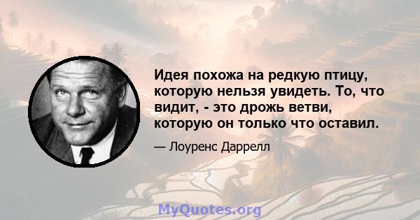 Идея похожа на редкую птицу, которую нельзя увидеть. То, что видит, - это дрожь ветви, которую он только что оставил.