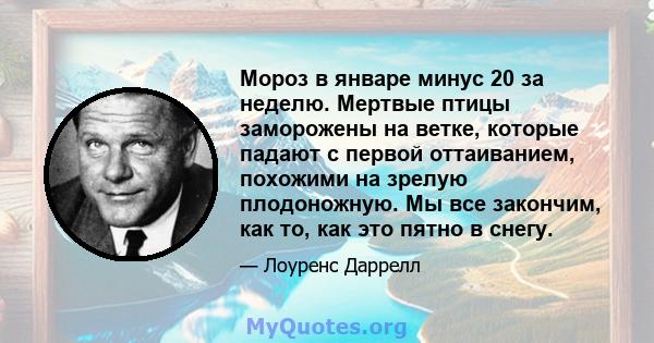 Мороз в январе минус 20 за неделю. Мертвые птицы заморожены на ветке, которые падают с первой оттаиванием, похожими на зрелую плодоножную. Мы все закончим, как то, как это пятно в снегу.