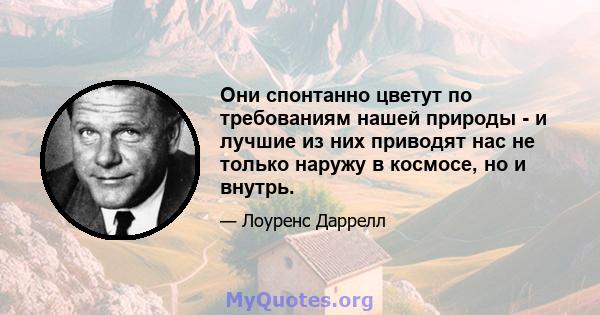 Они спонтанно цветут по требованиям нашей природы - и лучшие из них приводят нас не только наружу в космосе, но и внутрь.