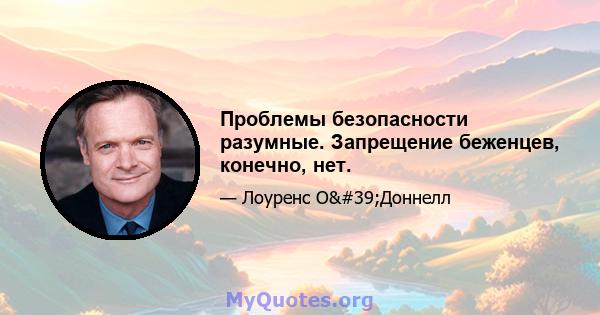 Проблемы безопасности разумные. Запрещение беженцев, конечно, нет.