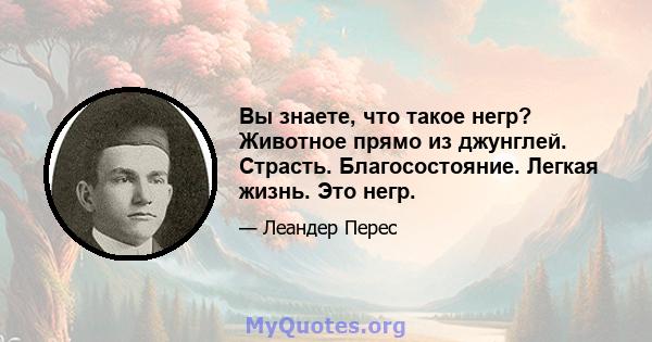 Вы знаете, что такое негр? Животное прямо из джунглей. Страсть. Благосостояние. Легкая жизнь. Это негр.