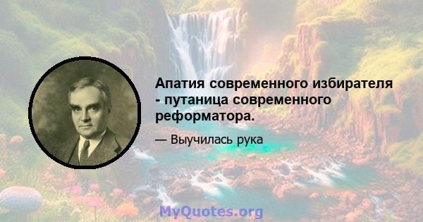 Апатия современного избирателя - путаница современного реформатора.