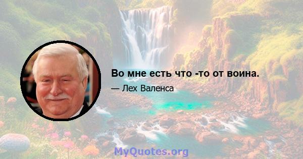 Во мне есть что -то от воина.