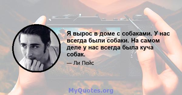 Я вырос в доме с собаками. У нас всегда были собаки. На самом деле у нас всегда была куча собак.