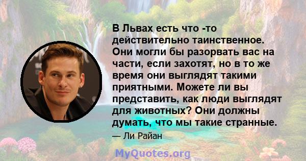 В Львах есть что -то действительно таинственное. Они могли бы разорвать вас на части, если захотят, но в то же время они выглядят такими приятными. Можете ли вы представить, как люди выглядят для животных? Они должны