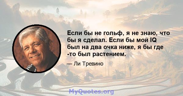 Если бы не гольф, я не знаю, что бы я сделал. Если бы мой IQ был на два очка ниже, я бы где -то был растением.