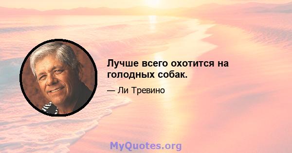 Лучше всего охотится на голодных собак.