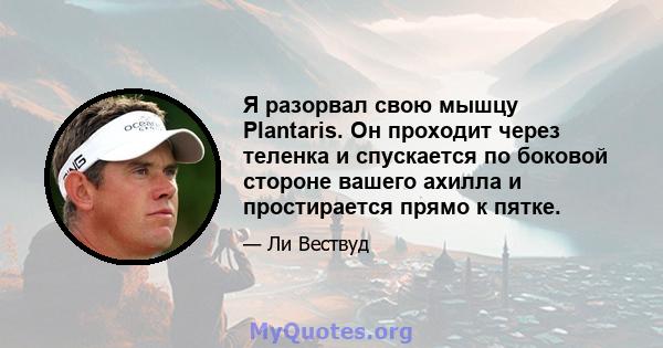 Я разорвал свою мышцу Plantaris. Он проходит через теленка и спускается по боковой стороне вашего ахилла и простирается прямо к пятке.