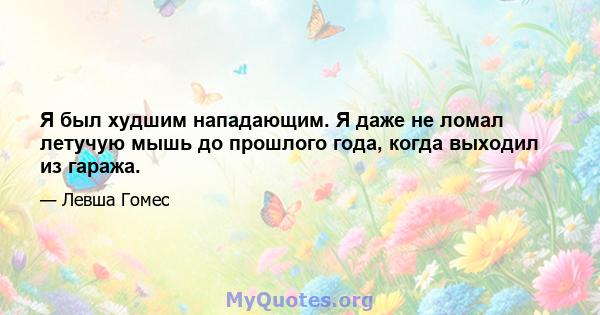 Я был худшим нападающим. Я даже не ломал летучую мышь до прошлого года, когда выходил из гаража.