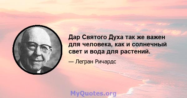 Дар Святого Духа так же важен для человека, как и солнечный свет и вода для растений.