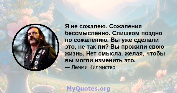 Я не сожалею. Сожаления бессмысленно. Слишком поздно по сожалению. Вы уже сделали это, не так ли? Вы прожили свою жизнь. Нет смысла, желая, чтобы вы могли изменить это.