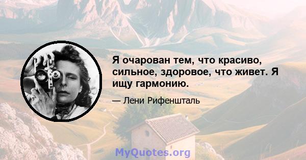 Я очарован тем, что красиво, сильное, здоровое, что живет. Я ищу гармонию.