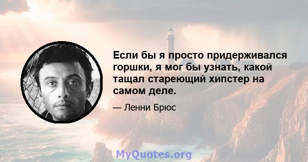 Если бы я просто придерживался горшки, я мог бы узнать, какой тащал стареющий хипстер на самом деле.