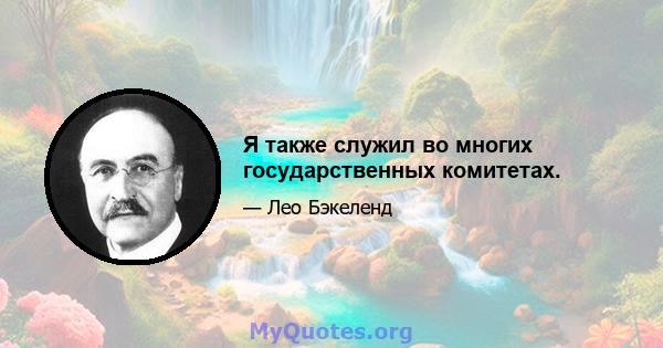 Я также служил во многих государственных комитетах.