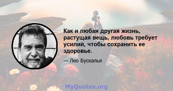 Как и любая другая жизнь, растущая вещь, любовь требует усилий, чтобы сохранить ее здоровье.