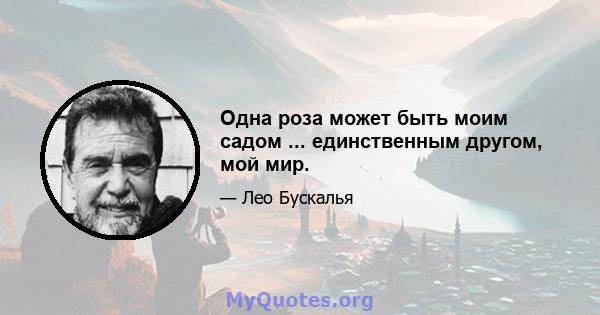 Одна роза может быть моим садом ... единственным другом, мой мир.