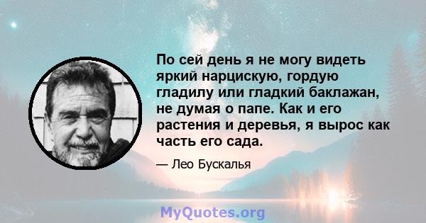 По сей день я не могу видеть яркий нарцискую, гордую гладилу или гладкий баклажан, не думая о папе. Как и его растения и деревья, я вырос как часть его сада.