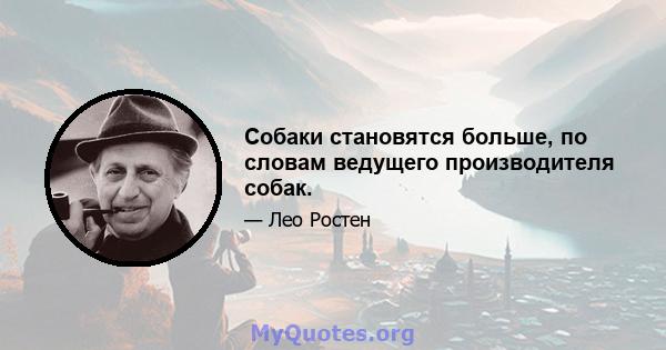 Собаки становятся больше, по словам ведущего производителя собак.