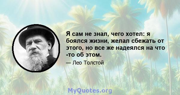 Я сам не знал, чего хотел: я боялся жизни, желал сбежать от этого, но все же надеялся на что -то об этом.