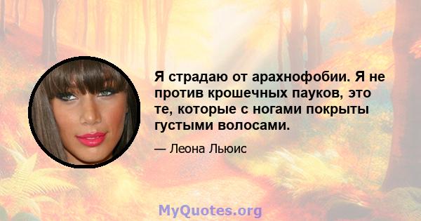 Я страдаю от арахнофобии. Я не против крошечных пауков, это те, которые с ногами покрыты густыми волосами.