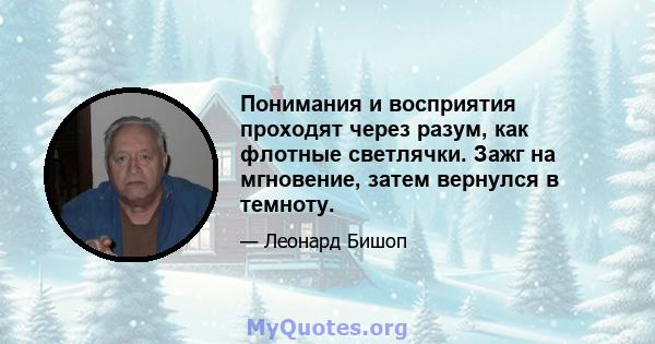 Понимания и восприятия проходят через разум, как флотные светлячки. Зажг на мгновение, затем вернулся в темноту.