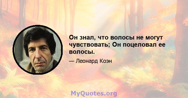 Он знал, что волосы не могут чувствовать; Он поцеловал ее волосы.