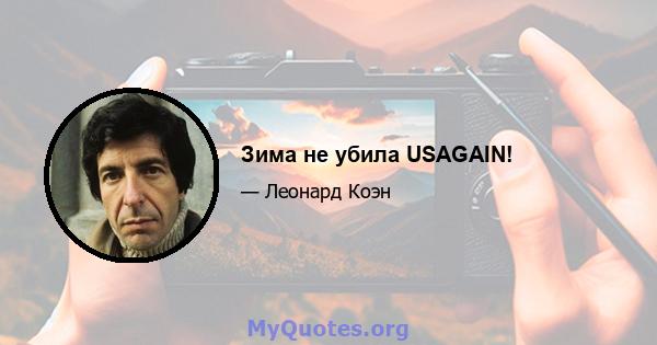 Зима не убила USAGAIN!