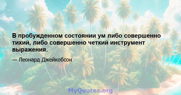 В пробужденном состоянии ум либо совершенно тихий, либо совершенно четкий инструмент выражения.