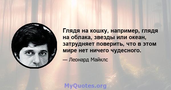 Глядя на кошку, например, глядя на облака, звезды или океан, затрудняет поверить, что в этом мире нет ничего чудесного.