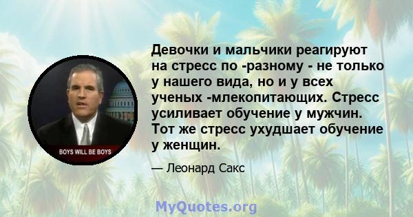 Девочки и мальчики реагируют на стресс по -разному - не только у нашего вида, но и у всех ученых -млекопитающих. Стресс усиливает обучение у мужчин. Тот же стресс ухудшает обучение у женщин.