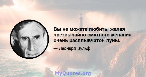 Вы не можете любить, желая чрезвычайно смутного желания очень расплывчатой ​​луны.