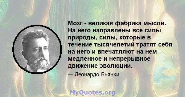 Мозг - великая фабрика мысли. На него направлены все силы природы, силы, которые в течение тысячелетий тратят себя на него и впечатляют на нем медленное и непрерывное движение эволюции.