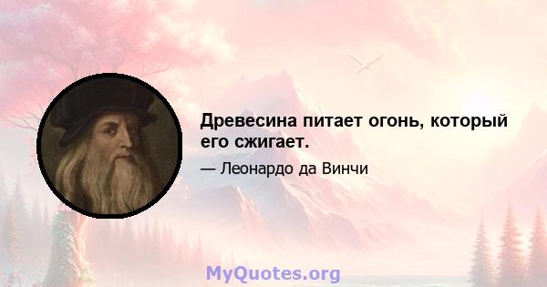 Древесина питает огонь, который его сжигает.