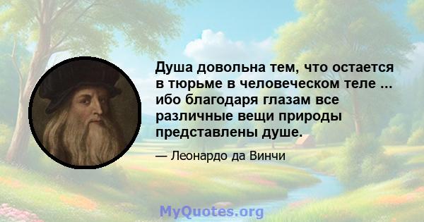 Душа довольна тем, что остается в тюрьме в человеческом теле ... ибо благодаря глазам все различные вещи природы представлены душе.